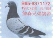 ÿ��һ�룺19�ιھ�֮ղɭ���ϰ��ۡ�