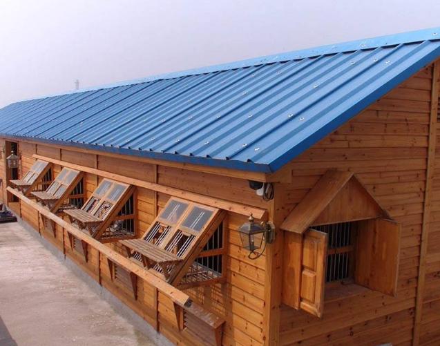 防御天敌成难题 鸽舍建造是关键！