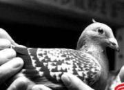 ������״Ԫ������������ִ�������Ѽ�