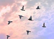 �嶯ѵ��һʱˬ ���˰����治ˬ