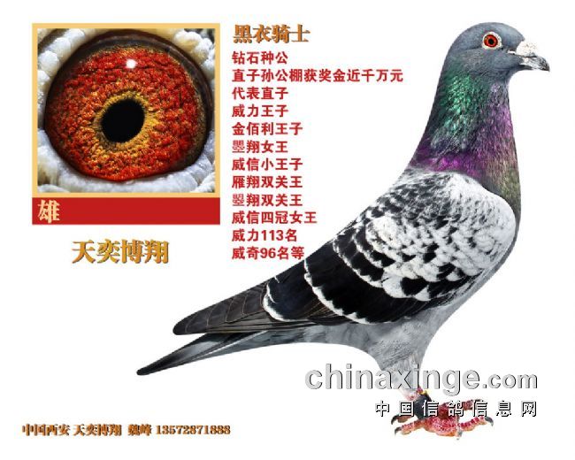 ÿ��һ�룺��������֮��������ʿ��