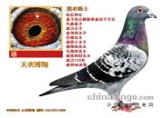ÿ��һ�룺��������֮��������ʿ��