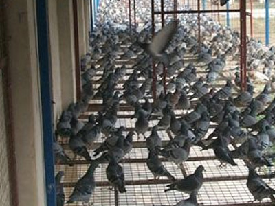 ���������ۡ��������Щָ�ꣿ