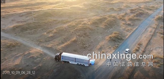 �ɸ봫˵���������Ǹ��ǧԪ�رȾ�ս����