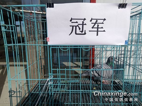 ��߷���1663 ���ִ��ź;����ھ��ֳ�չʾ