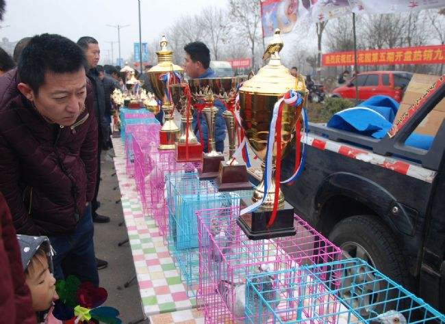 �������ǰ�����