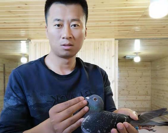 ְҵ�����뾫Ӣ�����Ŵ������������أ�ͼ��