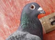 ��ѧ����������;