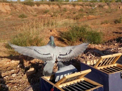 ��վ�ž�����ɶ�û�