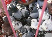 һ�����о��̲�ס���֣���������ĸ�զ����