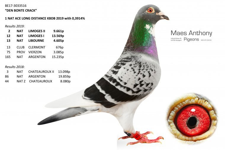 һ��ͷ�������KBDB����������ھ�