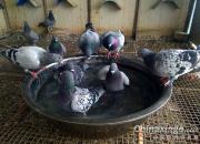 �ٿƳ�֪ʶ����ʶ����������ƣ��