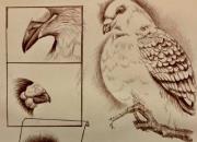 ��ʵ��ࣺ�Ҽ����еļ�����