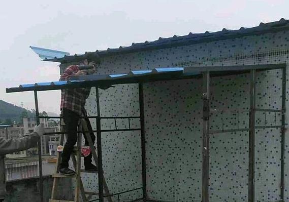 亲自动手建鸽棚 来评价一下