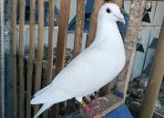 �׸�Ĵ������ˣ����������Ǿ�