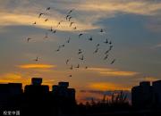 ���������˵Ĺ���