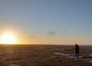 ��·�������ʤ �¸��׵�̩���������