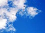 ���� �������д������