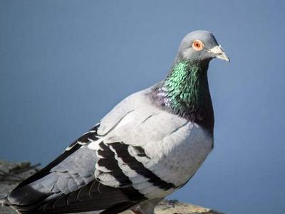 һ��������������