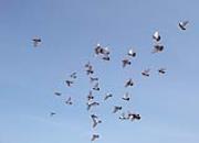 ������򣺳ɹ��������� ��һ������