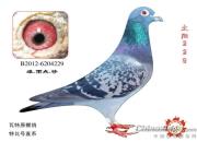 �����ء�֮���� 