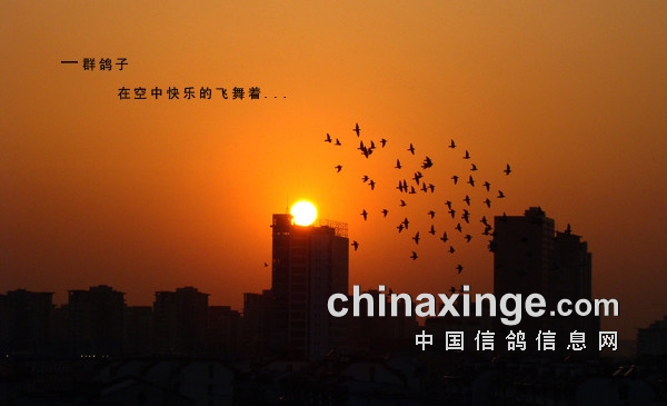 ���ӷ� �Ӳ���Ϊ��˭��ͼ��