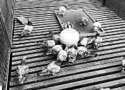 50���������44�꣺���Ÿ������ˡ����ӡ�