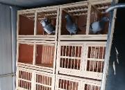 ����֮�������� Բ�˶�ʱ������