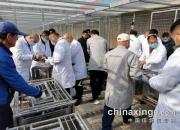 �ռ�һս���ȫʤ���ൺ��Ⱦ����ѱ���