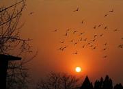 ���롡��һ�ηɽ��ҵ�լԺ��ͼ��