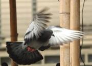 һ���ϰ����رȻ�����һ���Ǿ�