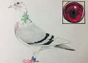 �Һ��ҵİ��� һ��Ҳ���ָܷ�