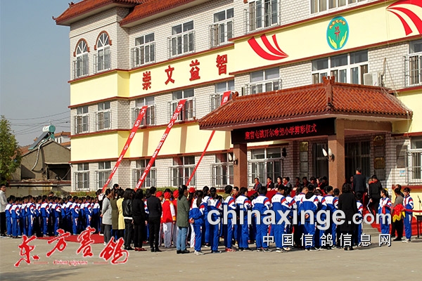 ���ĵ����� ���������¡����������ʰ��Ĺ��������ϣ��Сѧ������仧