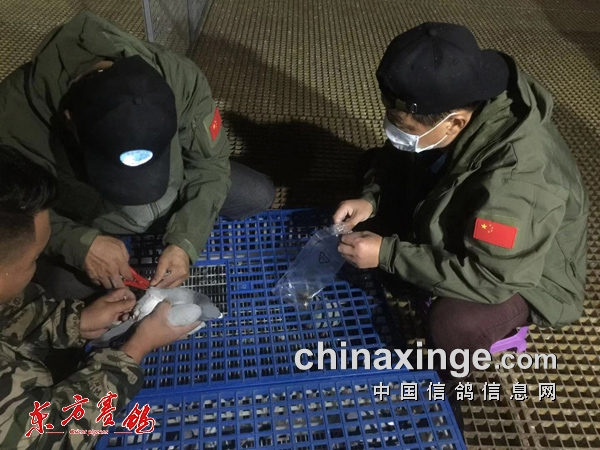 һ���﷫������ 1415�׸߷���չ����