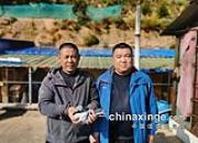 �Ӱ��Ĺ��رȸ������� ���Ǽ������