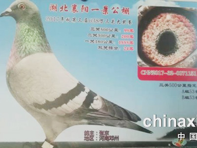 ��������ʧ�� �ݸ����������Ĺ���ھ��� 