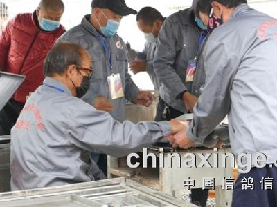 �˷����� ��Ұ���������Ի�