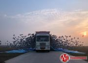 ������Ӣս�Ӵ����� �¶��׹�Ժ��4��7����