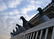 Ц���������ĸ��ʮ�� ����Ӧ����