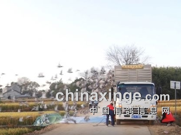 ��ͼ��ҵ̸Ц�� ��ʤ����һ���� ���������������