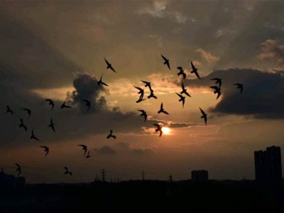 ǧ���ﵱ���ġ����ء�