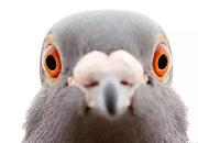 ���ĵ�������ս�����Ҿ�������