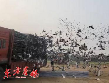 ���հ�������������ǧս���»��� �����������Թ�