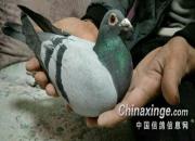 �뿴�㣺����Ϊʲô�����ӣ�