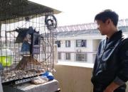 ���뻹��Ҫ�еģ���һʵ������