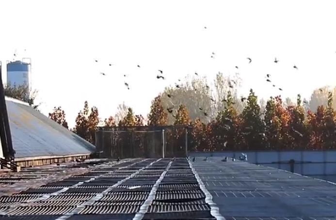 ��Խ���� �ŷ����� �������ʼ��Ź���2019�﷫��