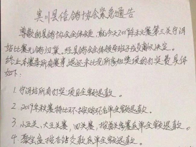 一羽流落他棚的信鸽独白