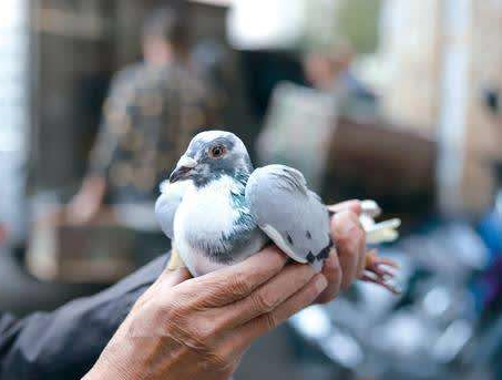 ���Ӻû����۸��޹أ�