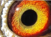 ���롰˽���ա� ɹһ�����������