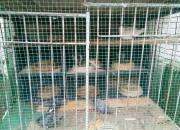 ̫ƴ�������´�罨�� ����������̱��